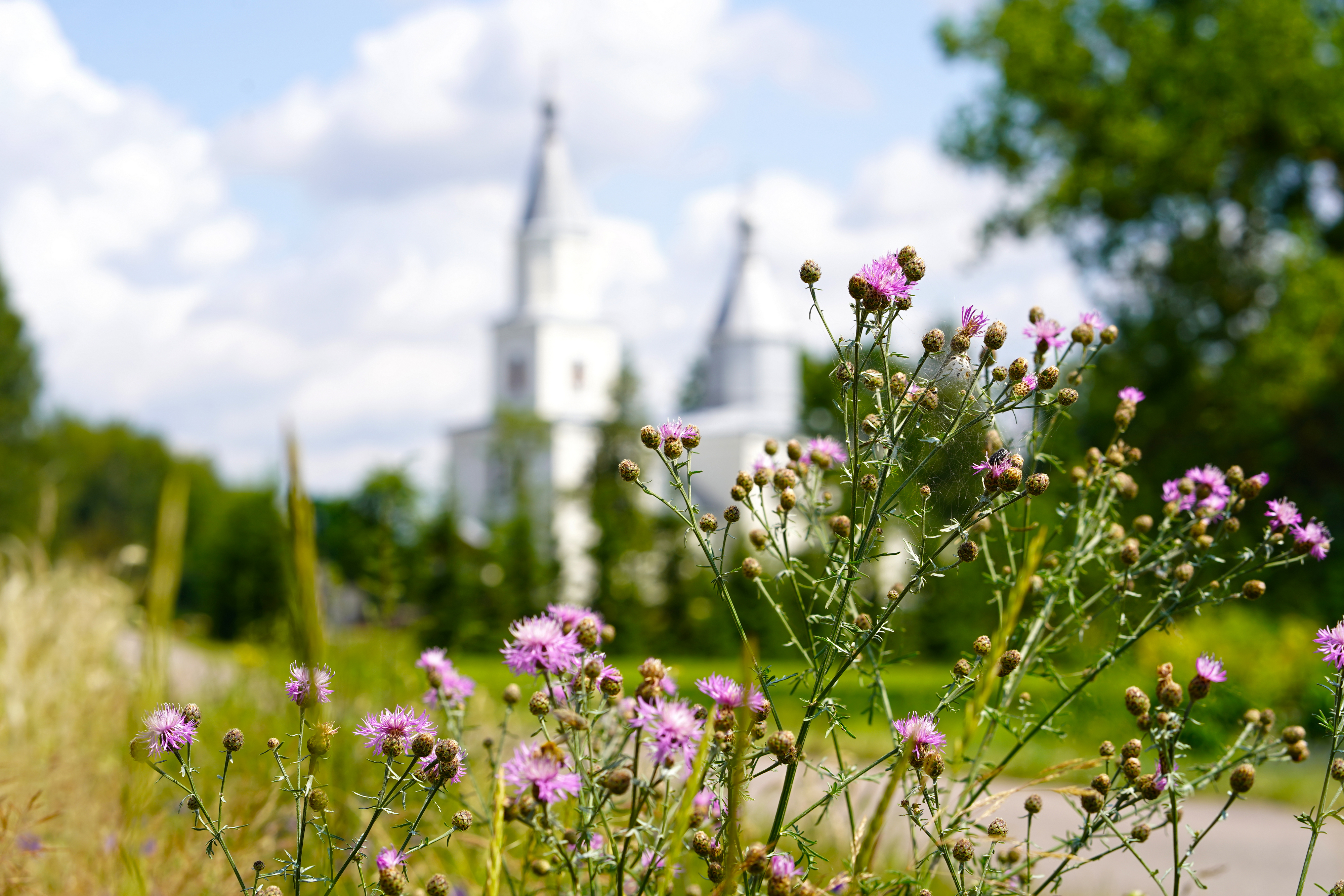 The Orthodox church in Kośna village