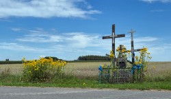jarek 
Crosses between Nowoberezowo and Nowokornino villages 
2025-08-16 13:34:27