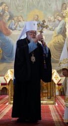 jarek11
