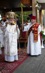 jarek11