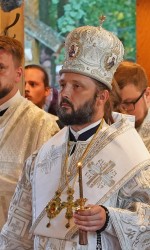 jarek11