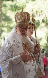 jarek