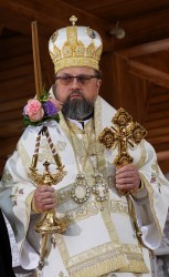 jarek
