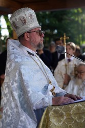 jarek