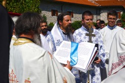 jarek11