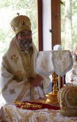 jarek