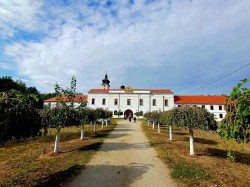 AleksaSrbin