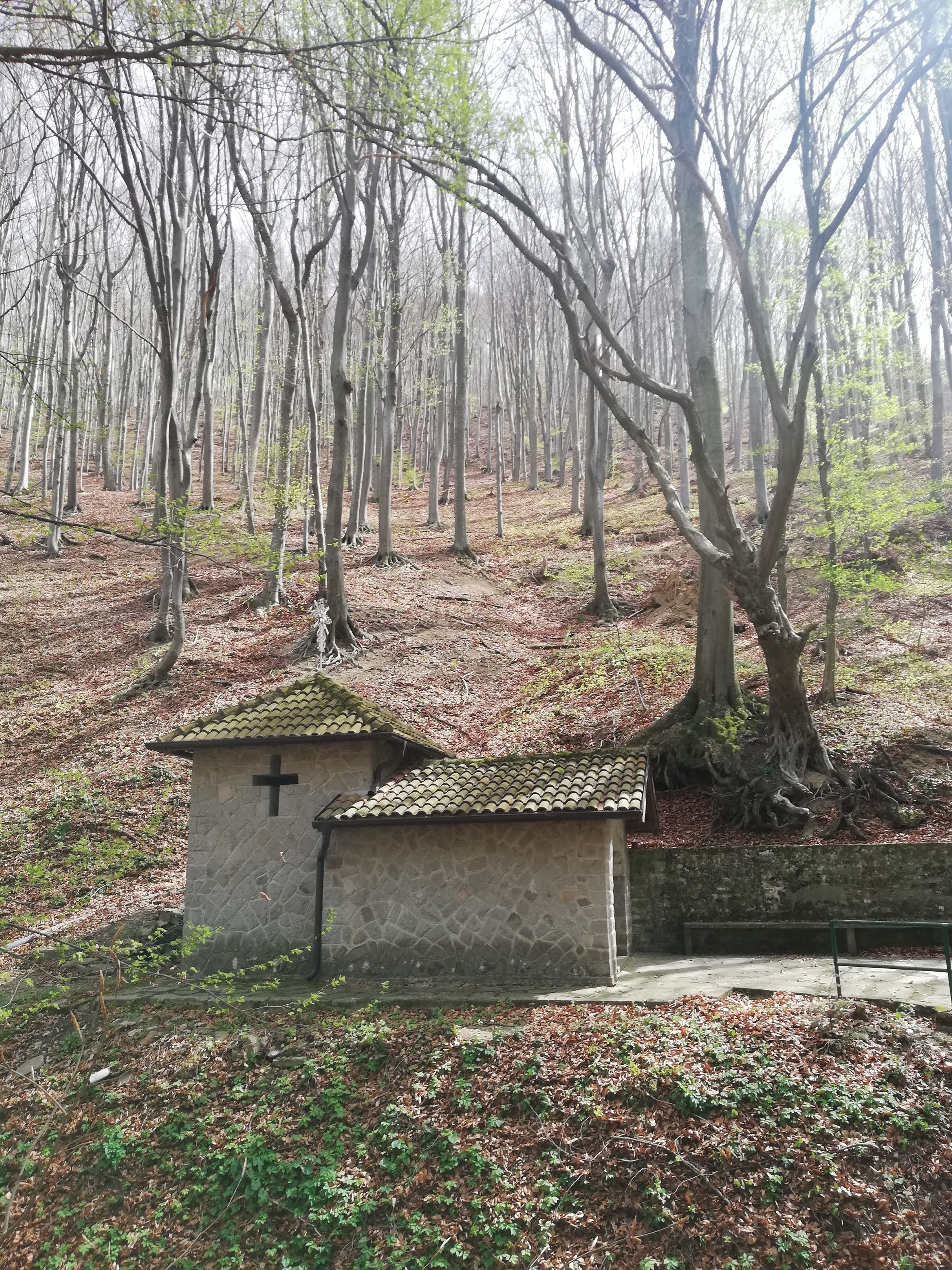 Saint Petkas spring in spring