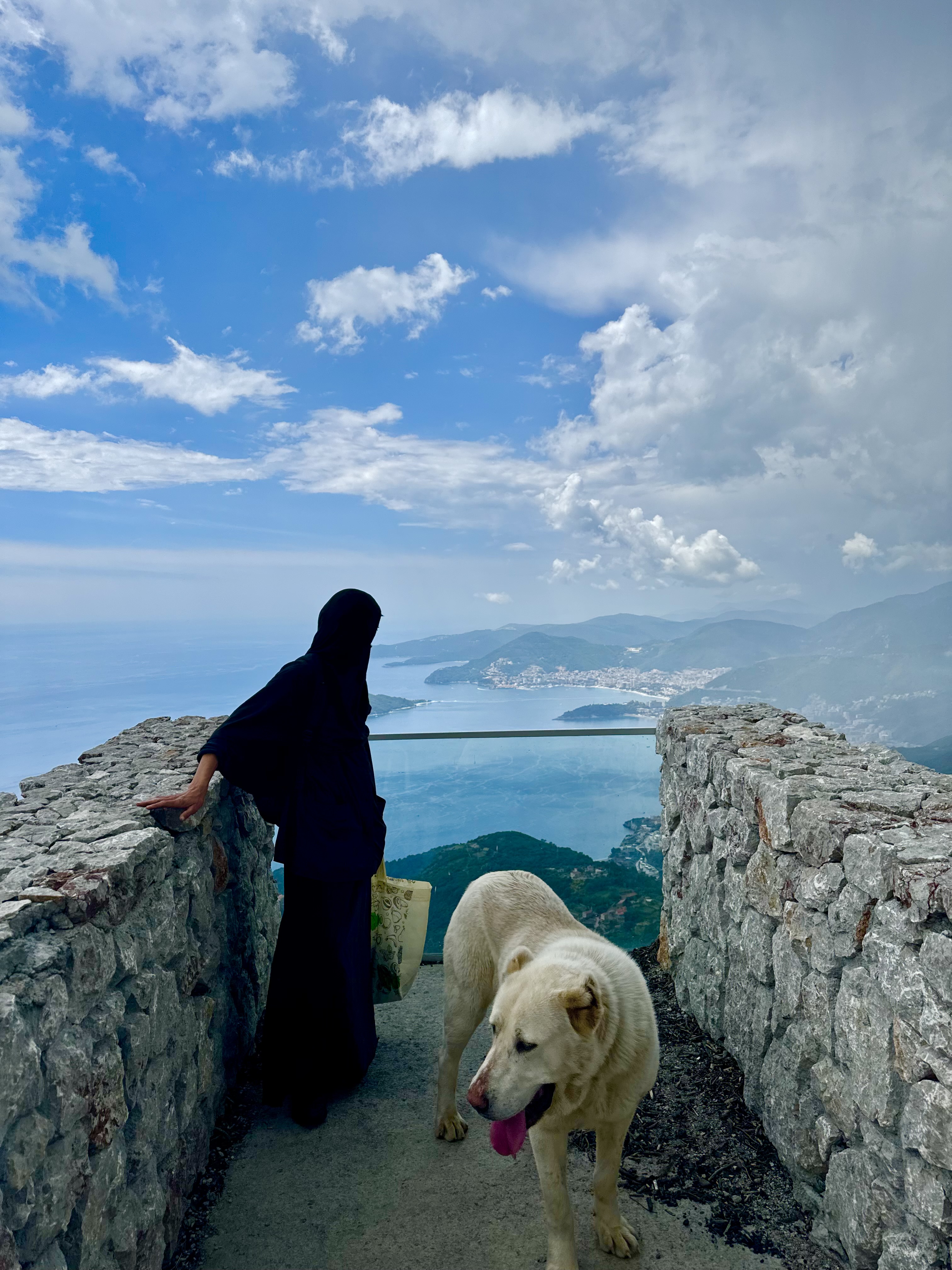 Монахиња на гори