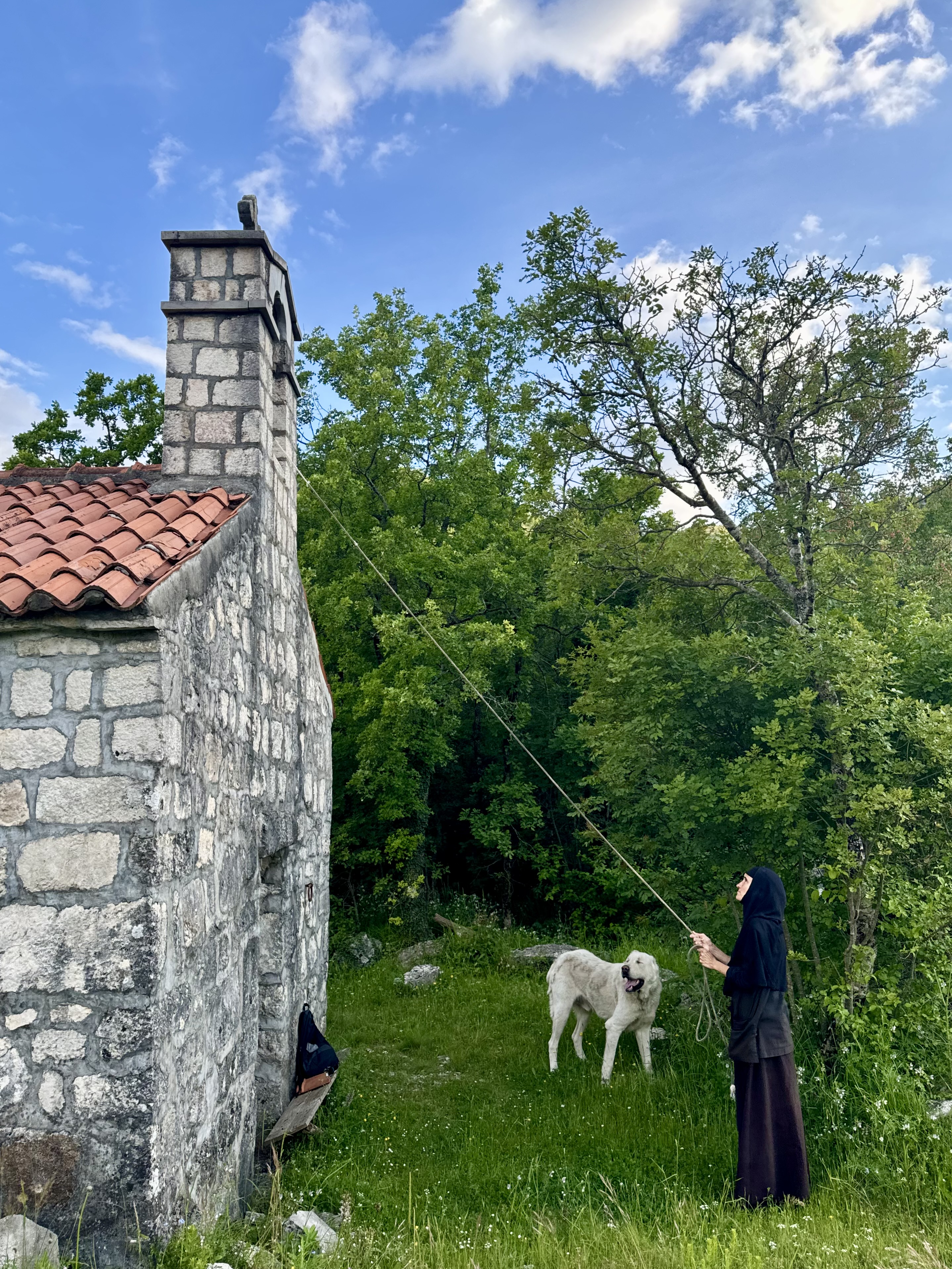 Молитва монахиње кроз звоно се вије