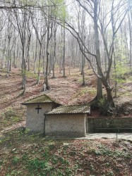 M.T. 
Saint Petkas spring in spring 
2025-10-03 13:28:41