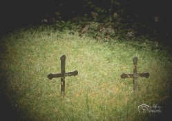 levangabechava 
 
2025-10-12 09:54:48