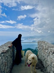 кетеван 
Монахиња на гори 
9 
2025-10-23 16:54:34 кетеван 
Монахиња на гори 
9 
2025-10-23 16:54:34