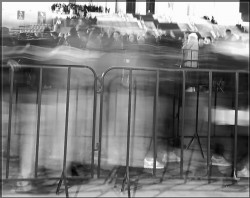 do_marian 
 
2025-11-04 20:54:48