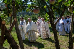 alik 
Monaster Morača 
2025-11-05 16:27:50