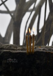 levangabechava 
 
9 
2025-11-17 16:17:06