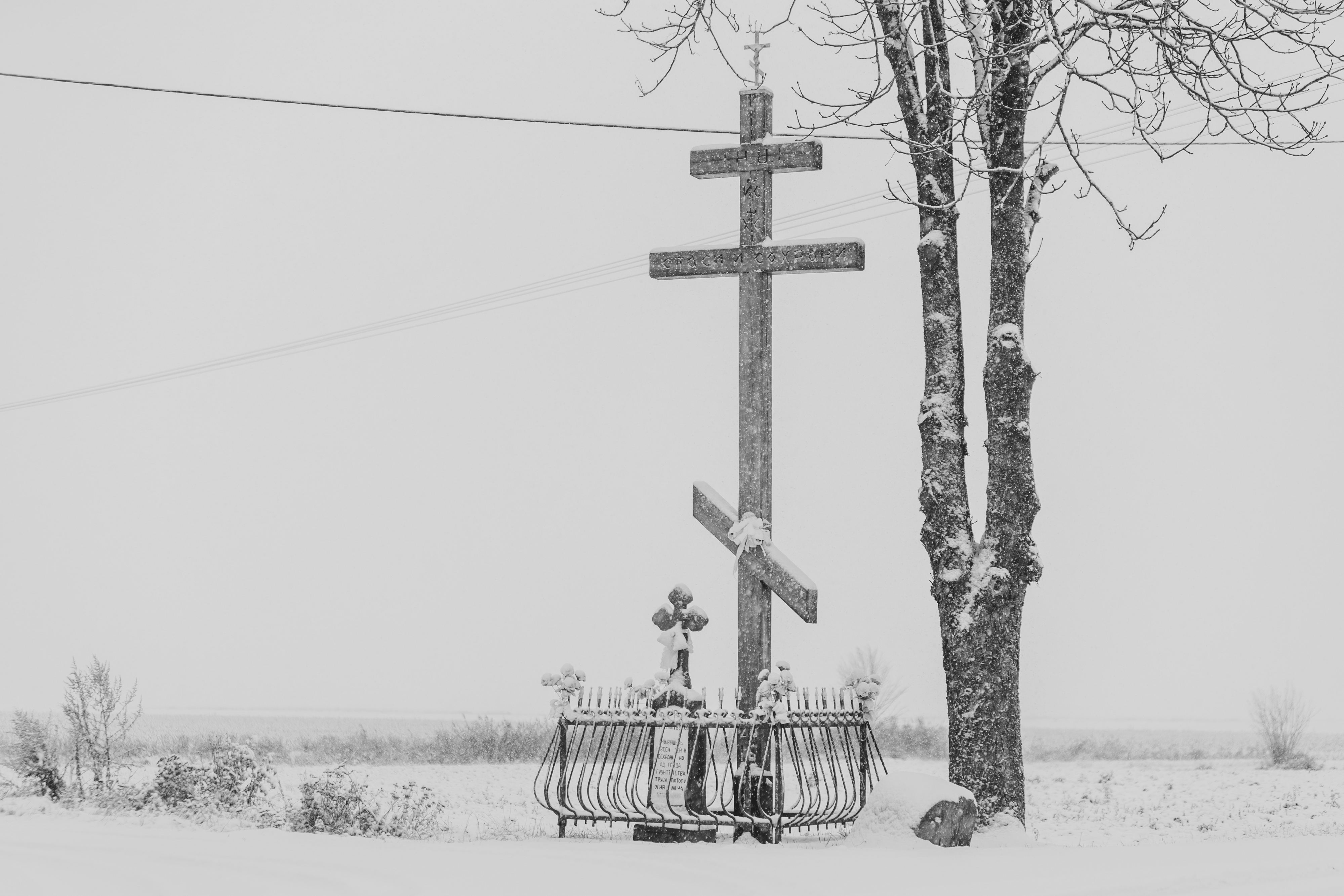 Przy drodze / Near the road (VII)