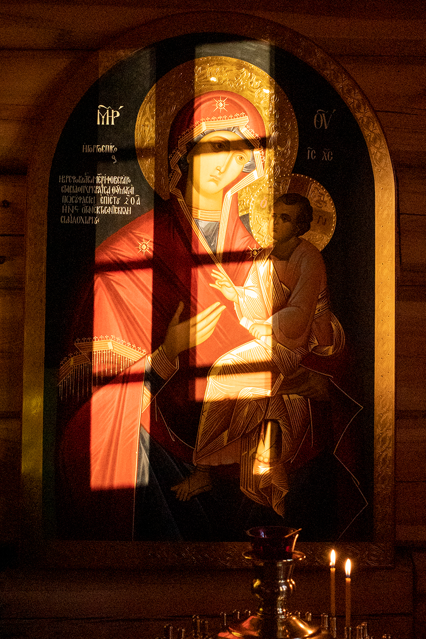 Скоропослушница