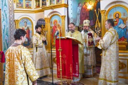 jarek1 
The Divine Liturgy in the Holy Trinity church in Gorlice 
2025-12-23 17:18:03