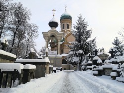 Sheep1389 
Cerkiew św. Jana Klimaka 1 stycznia 2026 
0 
2026-01-01 10:30:15