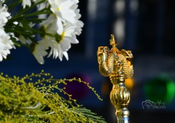 levangabechava 
 
0 
2026-01-01 14:56:04