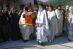 felix 
At Celije Monastery - В Монастыре Челия 
0 
2026-01-02 22:20:54