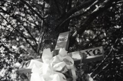 filmorth 
Grabarka 2025 (II) 
3 
2026-01-04 22:41:36