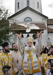 levangabechava 
 
6 
2026-01-20 09:11:36