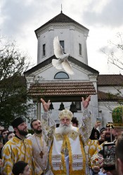 levangabechava 
 
9 
2026-01-20 09:12:31