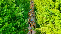 oczy_prawoslawia 
piesza_pielgrzymka_ Bielsk Podlaski - Grabarka 2025 
2026-01-20 21:09:09