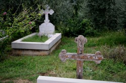 Sheep1389 
Groblje manastira Dajbabe, 2024 
2026-02-03 21:25:37