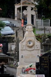 Sheep1389 
Groblje u Budvi, 2024 
0 
2026-02-05 12:12:49