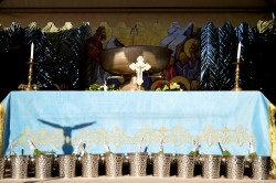 jarek 
Epiphany feast at Bethany beyond the Jordan, 2026 
2026-02-06 20:35:59