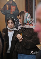 levangabechava 
 
2026-02-09 16:05:45