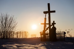 mati.40702 
Przy drodze / Near the road (VIII) 
6 
2026-02-09 19:20:10