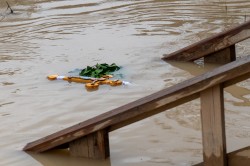 alik 
Epiphany at Bethany beyond the Jordan 
2026-02-14 16:53:01