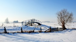 Adam Falkowski 
 
6 
2026-02-16 18:23:49