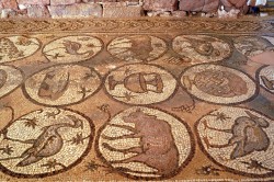 jarek 
Mosaics of Christian basilica in Petra, 6th century 
2026-02-16 19:22:38