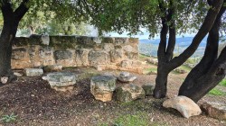 jarek 
Tall Mar Elias Archeological Site, 6th century 
2026-02-17 21:24:11