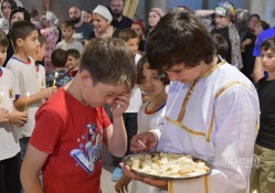 levangabechava 
 
2026-02-19 15:38:37