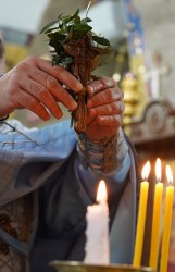 jarek 
Epiphany in St. George Orthodox church in Andżara 
2026-02-20 06:42:43