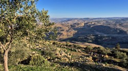 jarek 
Promised Land view from Mount Nebo 
2026-03-01 16:17:09