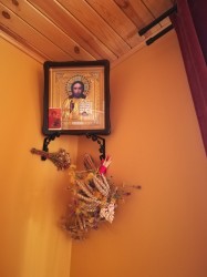 Pani Nycz 
pomarańczowo 
0 
2026-03-04 18:20:00