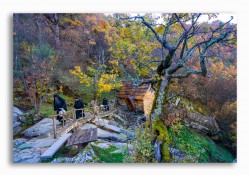 hmiodrag 
Испосница Светог Прохора Пчињског 
3 
2026-03-05 20:03:26