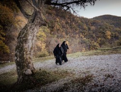 hmiodrag 
Monahine odlaze 
6 
2026-03-05 20:05:30