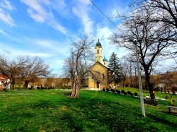 AleksaSrbin 
 
2026-03-19 07:04:05