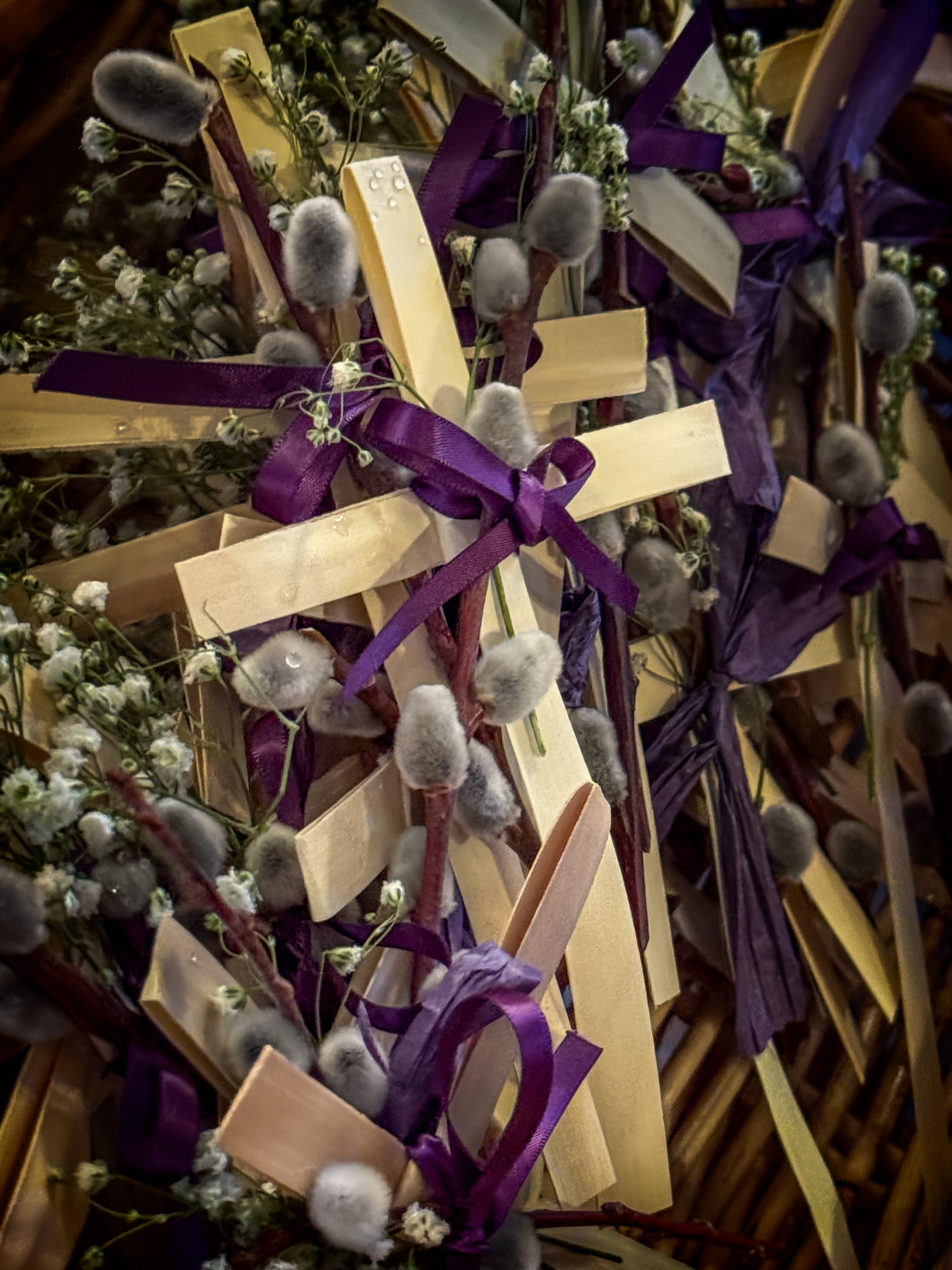 Palm Sunday–Цвети–Cveti–St. Sava, Jackson, California, USA