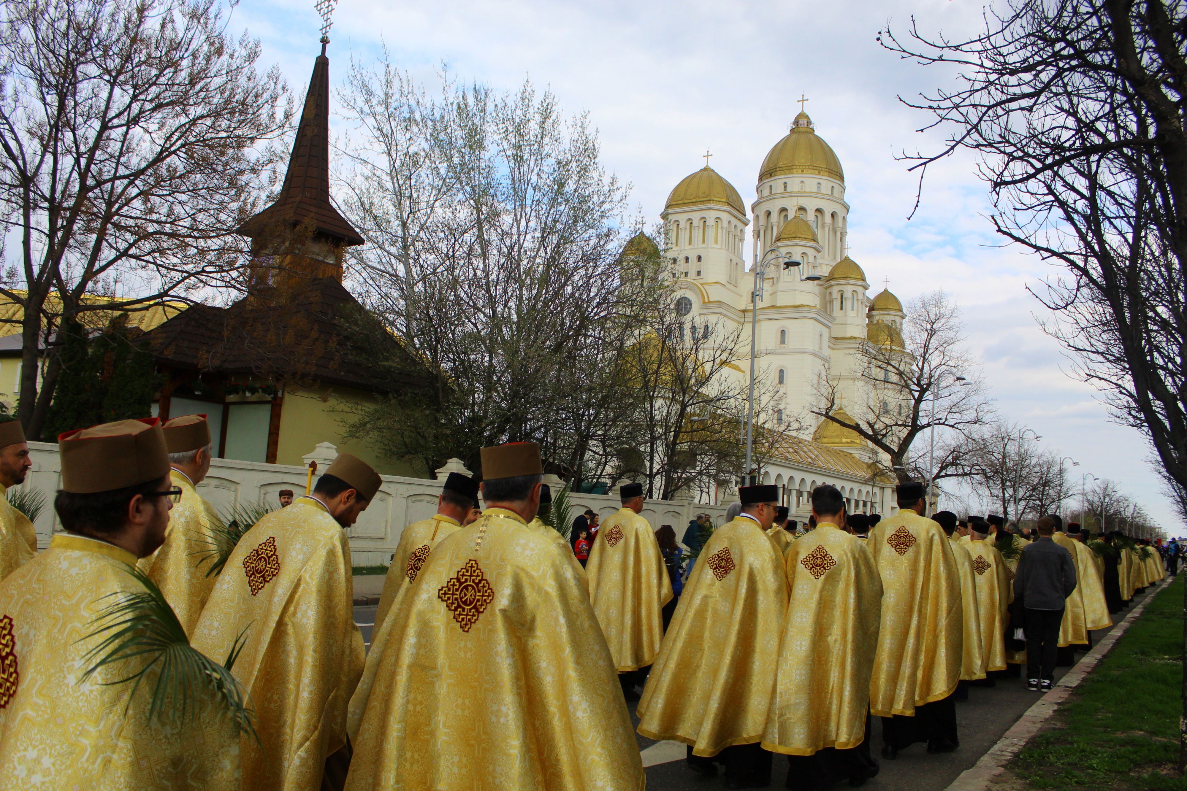 Palm pilgrimage in Romania