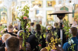 mati.40702 
Palmowa (I) 
9 
2026-04-06 21:06:49