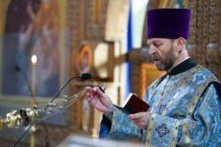 jarek1